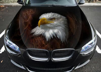 احجز ليموزين مطار القاهرة الدولي بدقة النسور